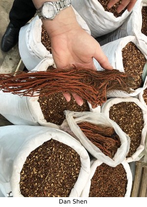 photo showing bags of the chinese herb Dan Shen at an herb market