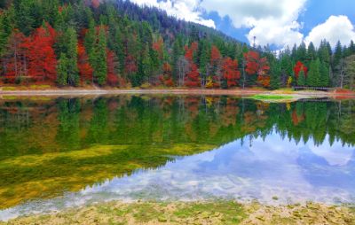 photo of lake with fall colors on trees surrounding it