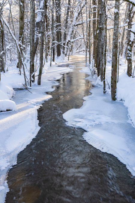 photo of a river winding through the woods surrounded by snow