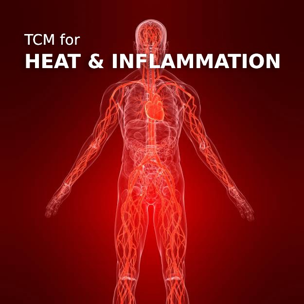 graphic of a body in read indicating inflammation with text tcm for heat and inflammation