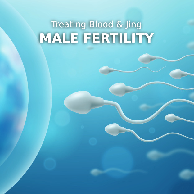 graphic of sperm approaching a female egg with text treating blood and jing male infertility click to article