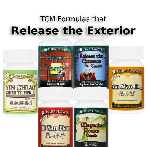 photo of several Chinese herbal formulas that are in the release the exterior category click to article