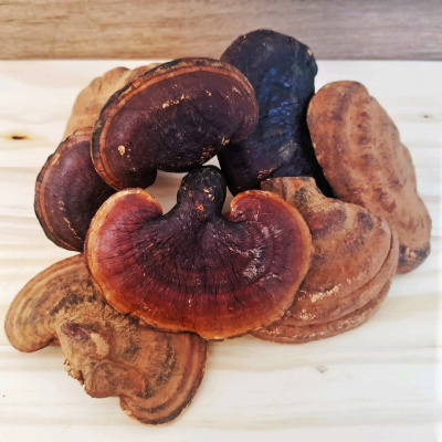 Image of dried reishi mushrooms